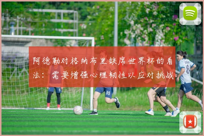 阿德勒对格纳布里缺席世界杯的看法：需要增强心理韧性以应对挑战